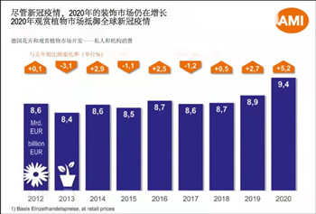 成都溫江花木