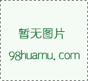 【中(zhōng)苗會·求購】05月27日